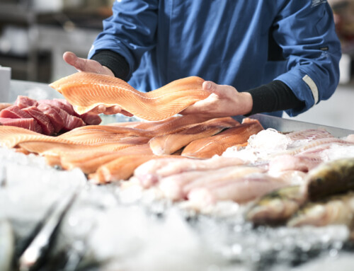 Fish Fraud Frenzy